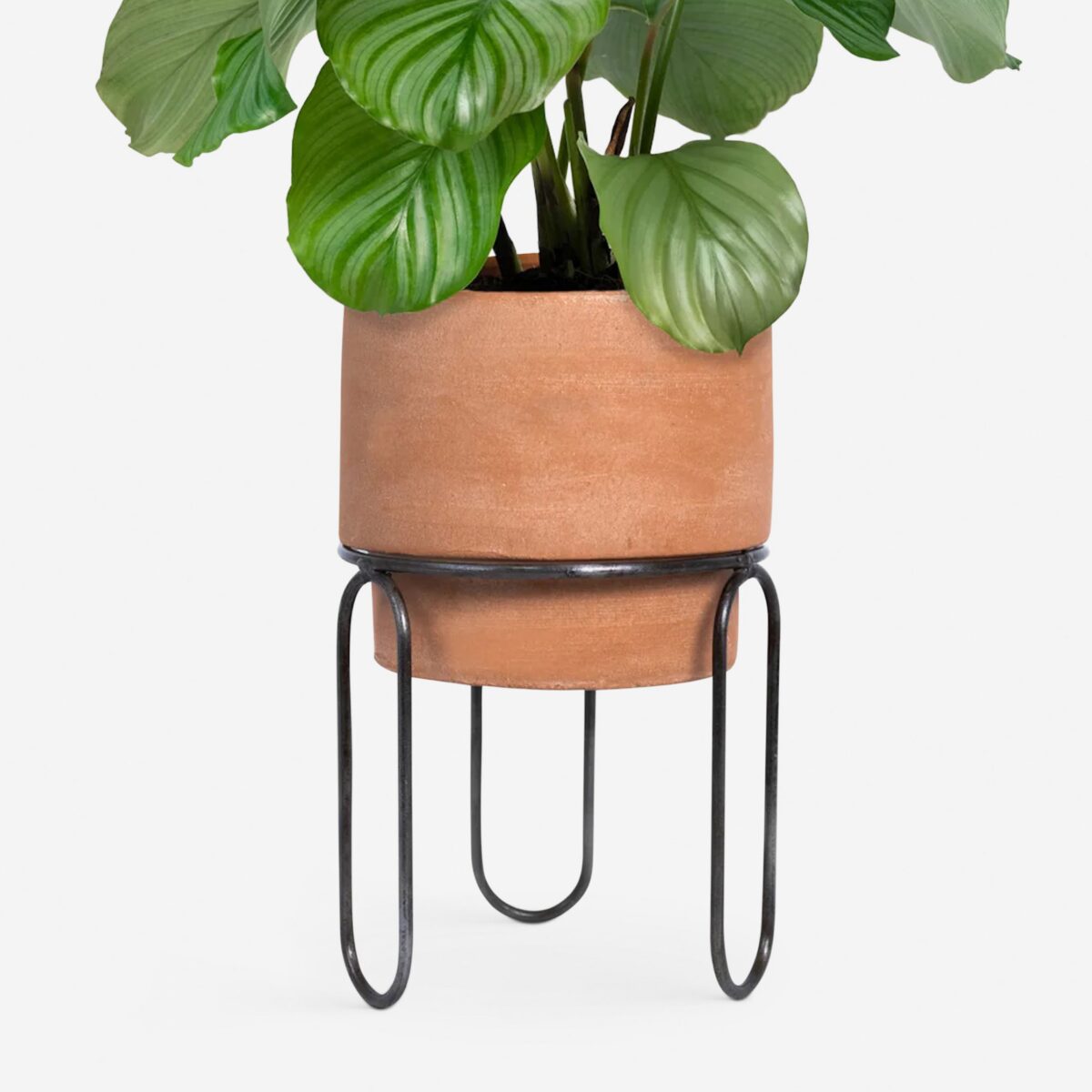 Terracotta Planter Pot