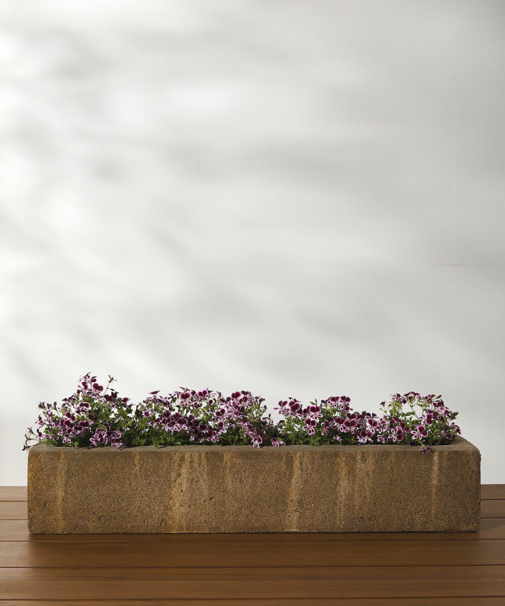 Modern Long Planter