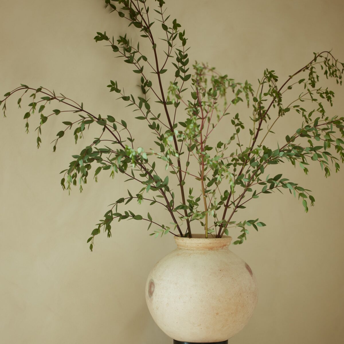Natural Ceramic Iron Pot