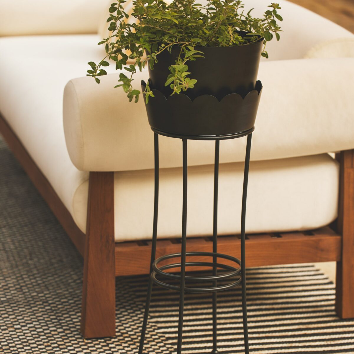 Indoor/Outdoor Planter