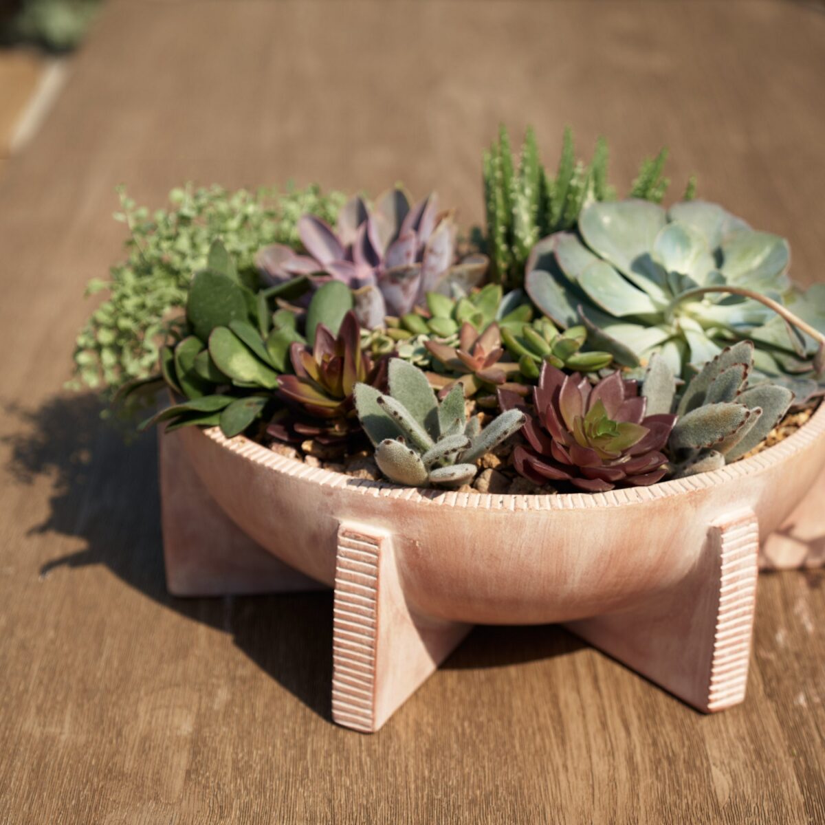 Terracotta Planter