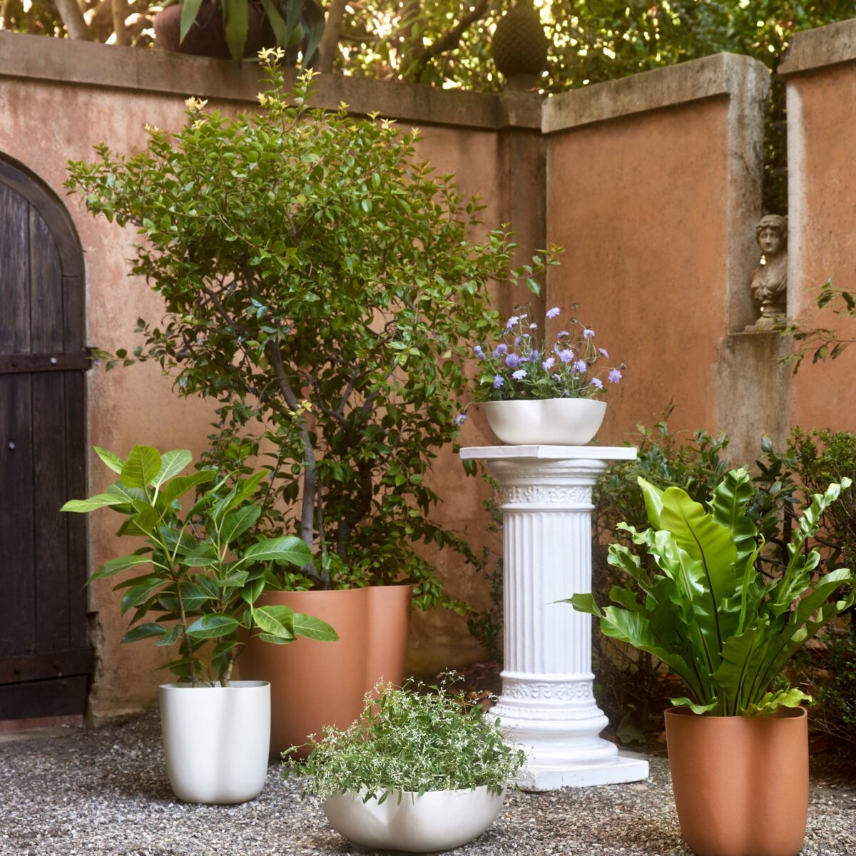 Sculptural Low Planter