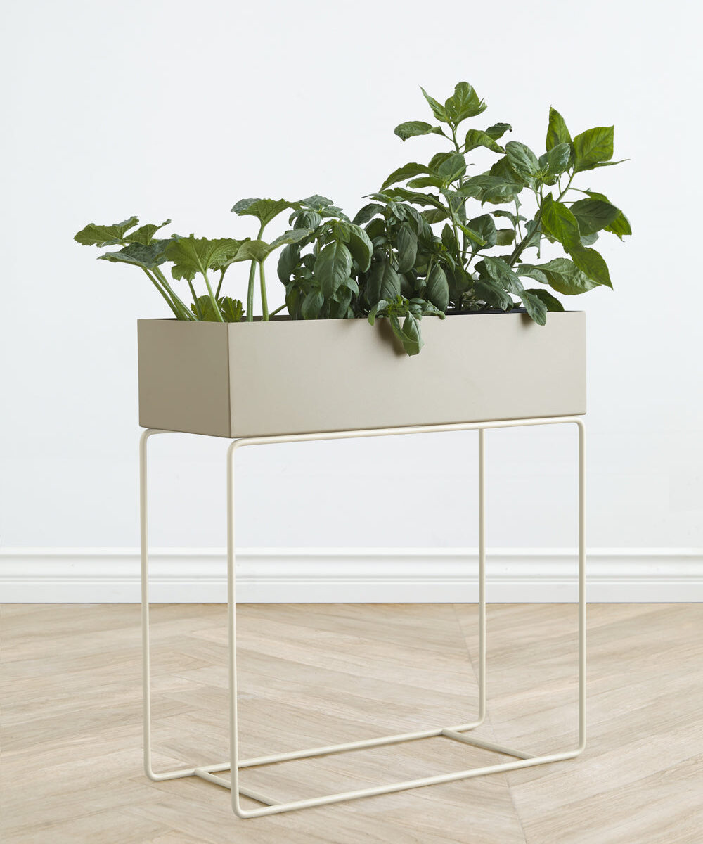 Green Plant Box