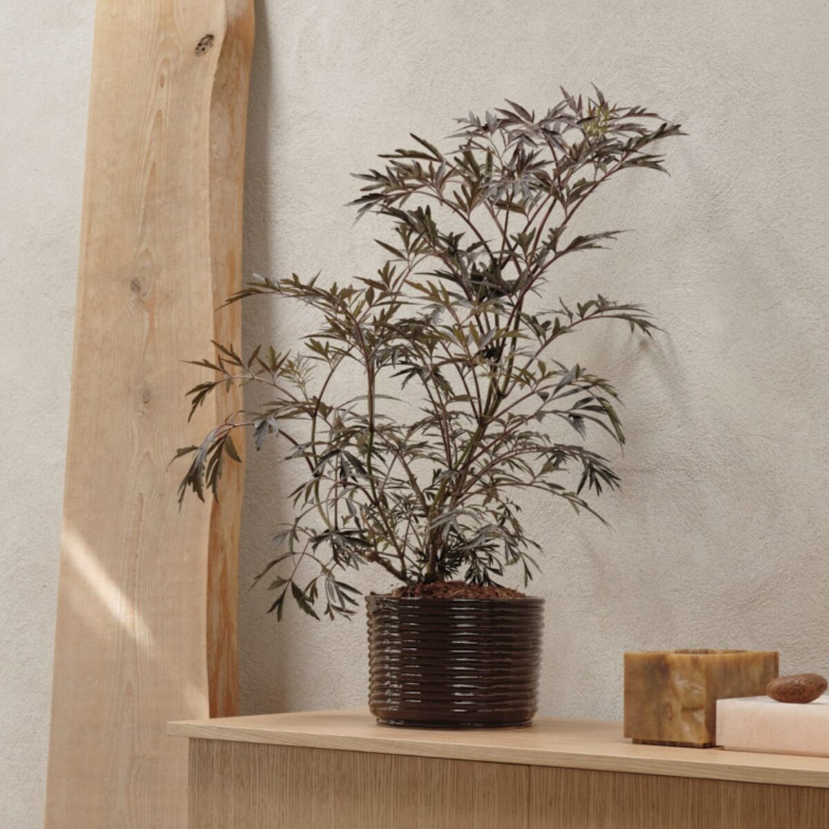 Sculptural Glossy Ceramic Pot