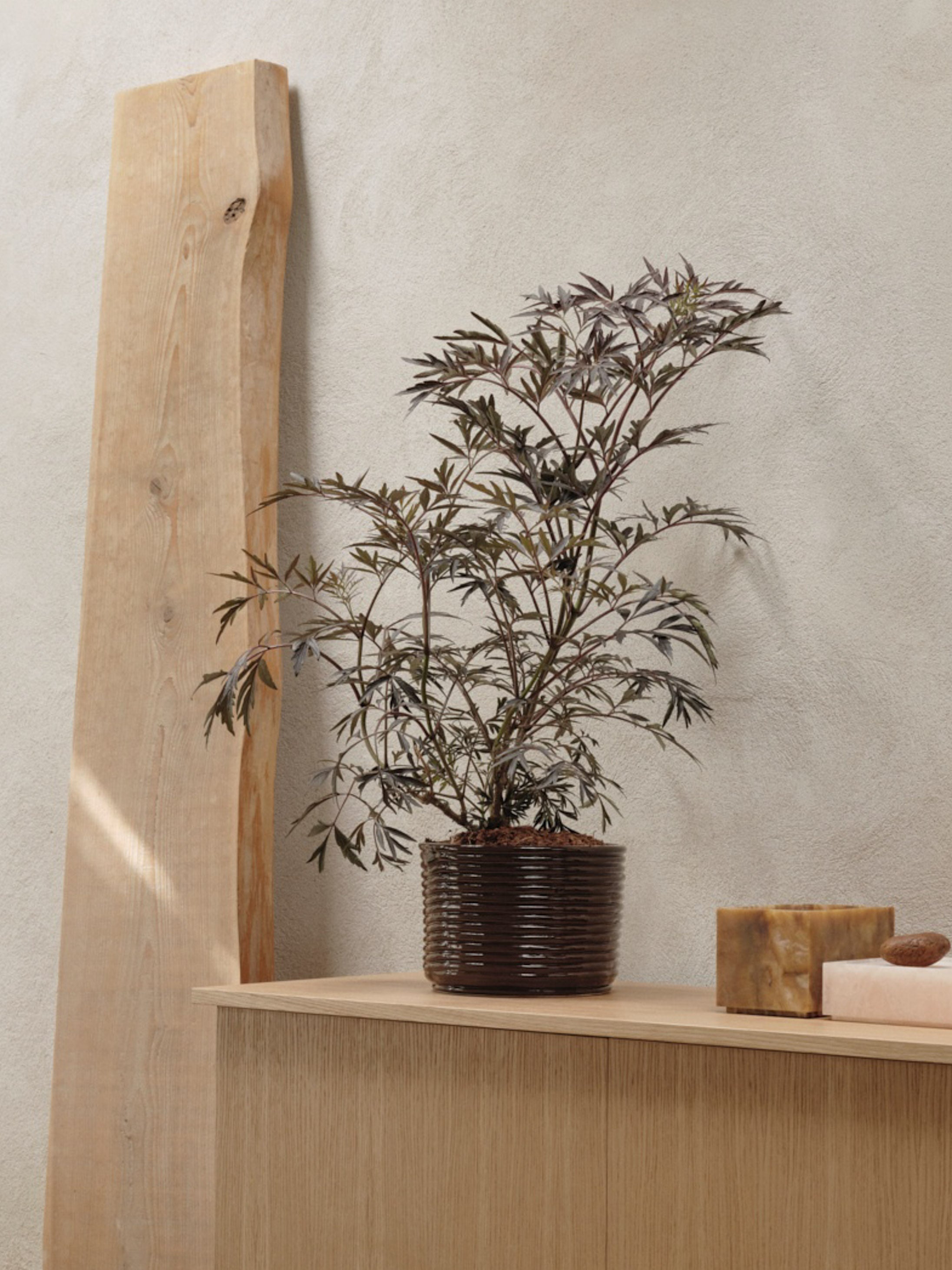 Sculptural Glossy Ceramic Pot