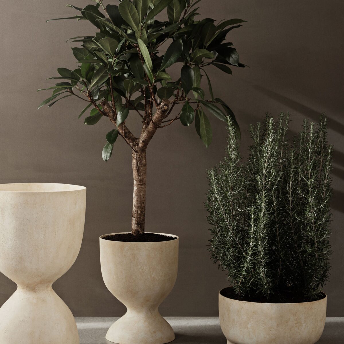 Sculptural Evoke Pot