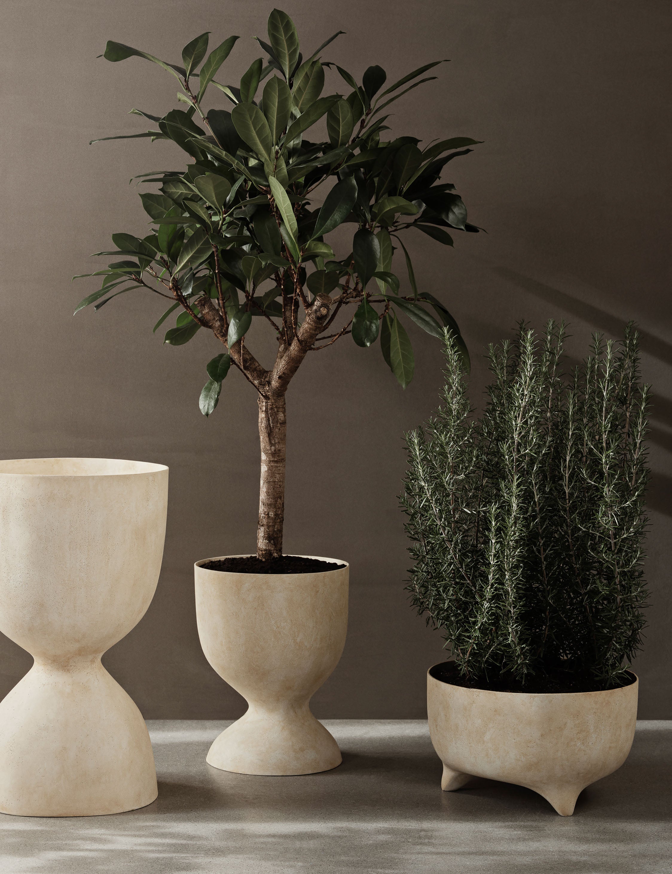 Sculptural Evoke Pot